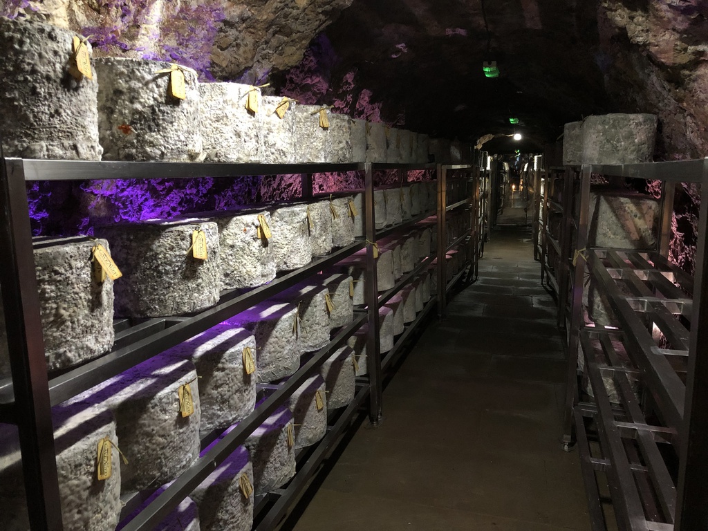 Wookey Hole caves review – kids go free!