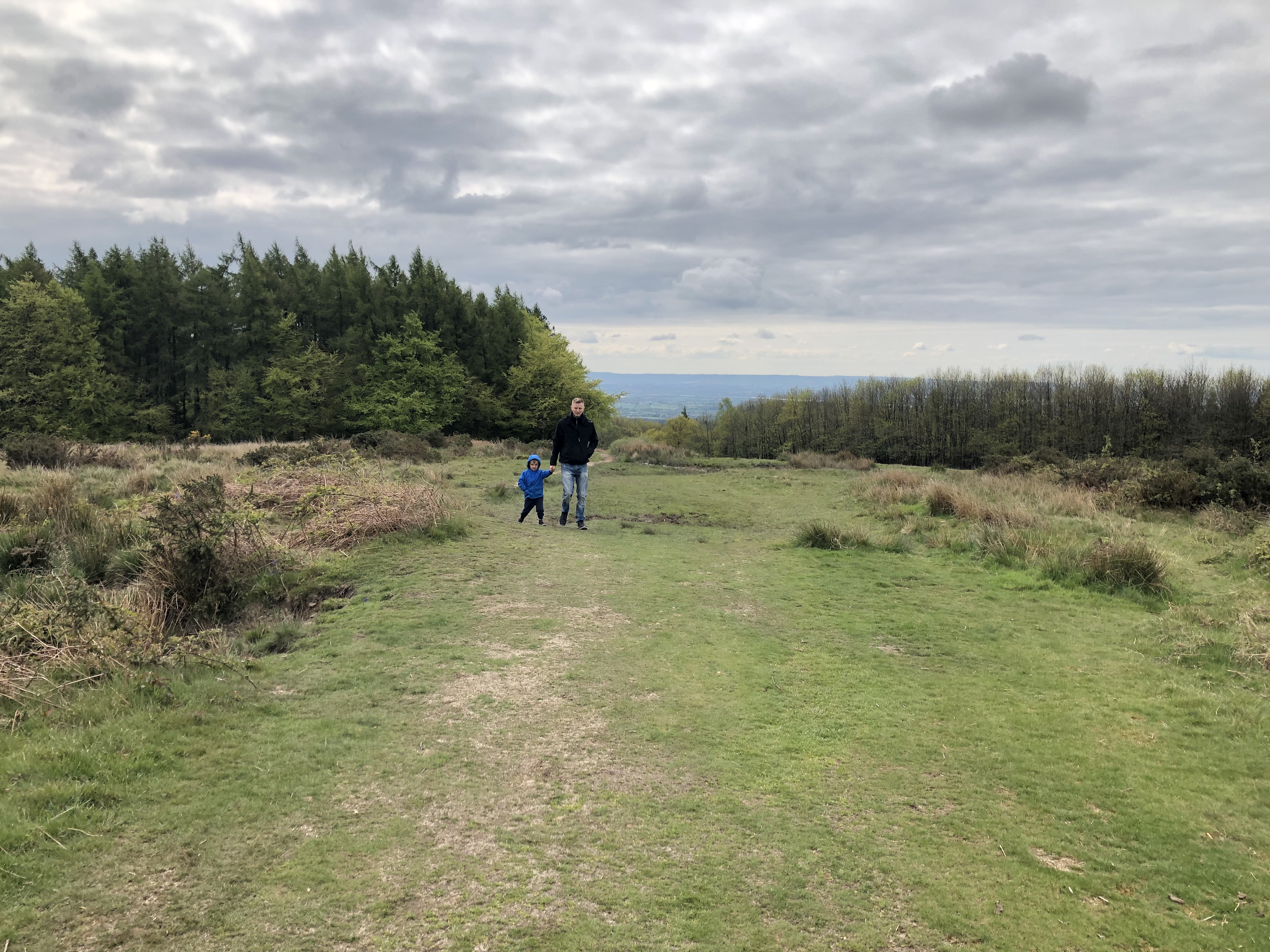 Exploring May Hill with kids in the Forest of Dean Gloucestershire