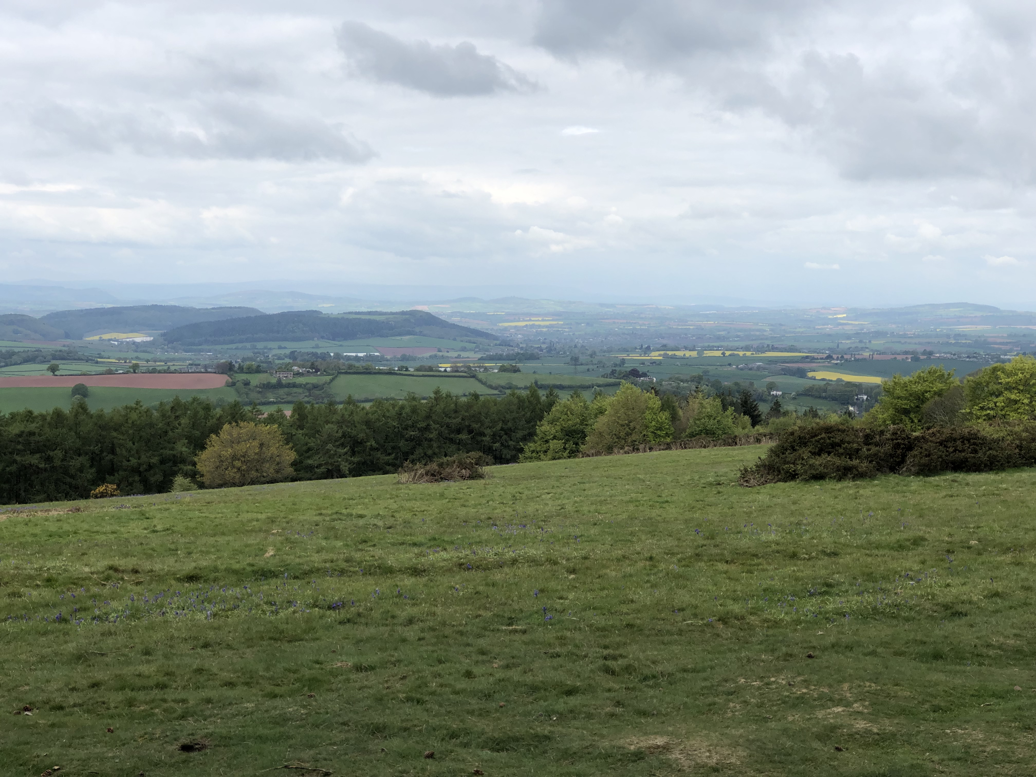 Exploring May Hill with kids in the Forest of Dean Gloucestershire