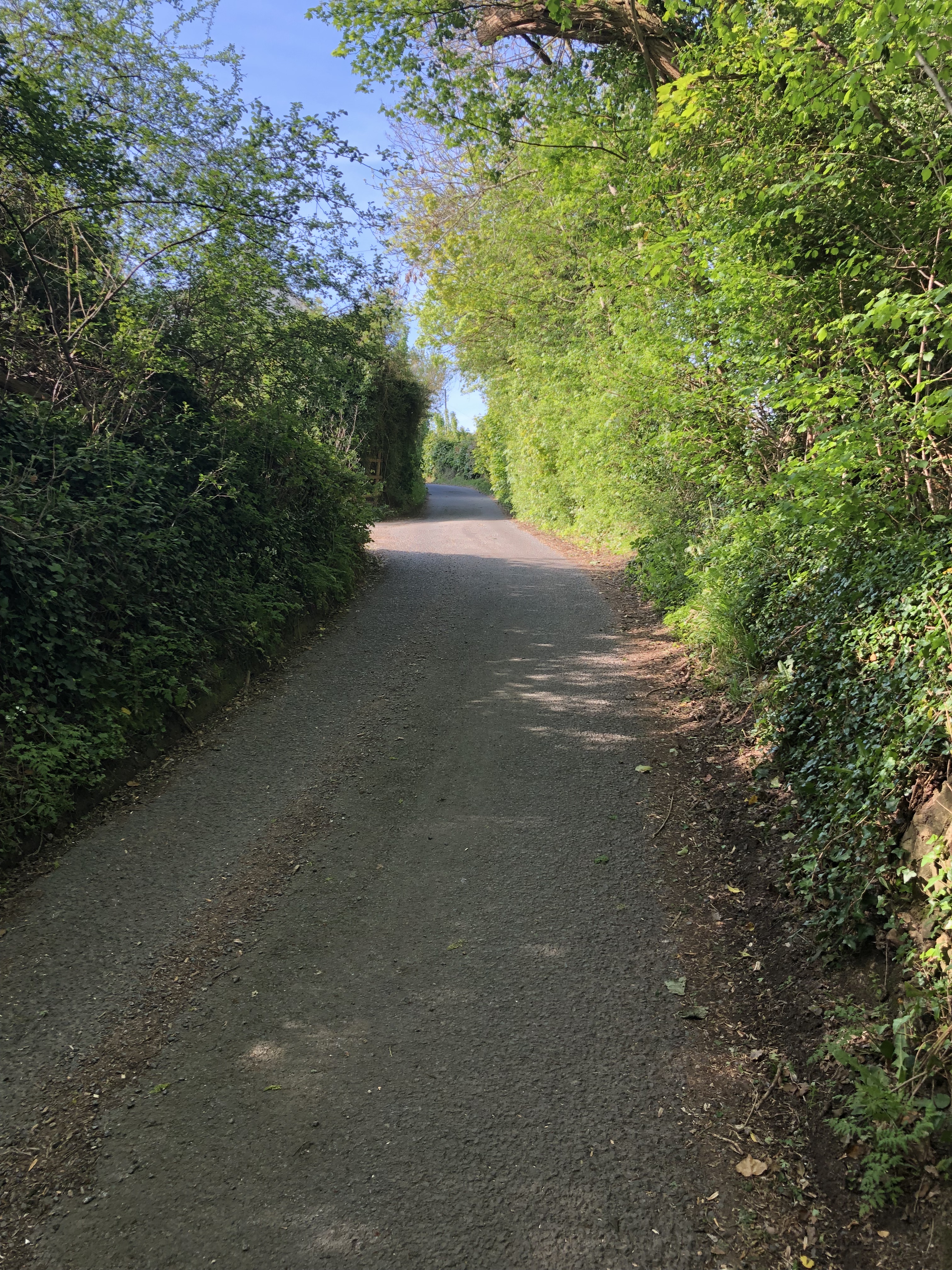 A woodland walk from Coopers Hill Nature Reserve to Great Witcombe Roman Villa