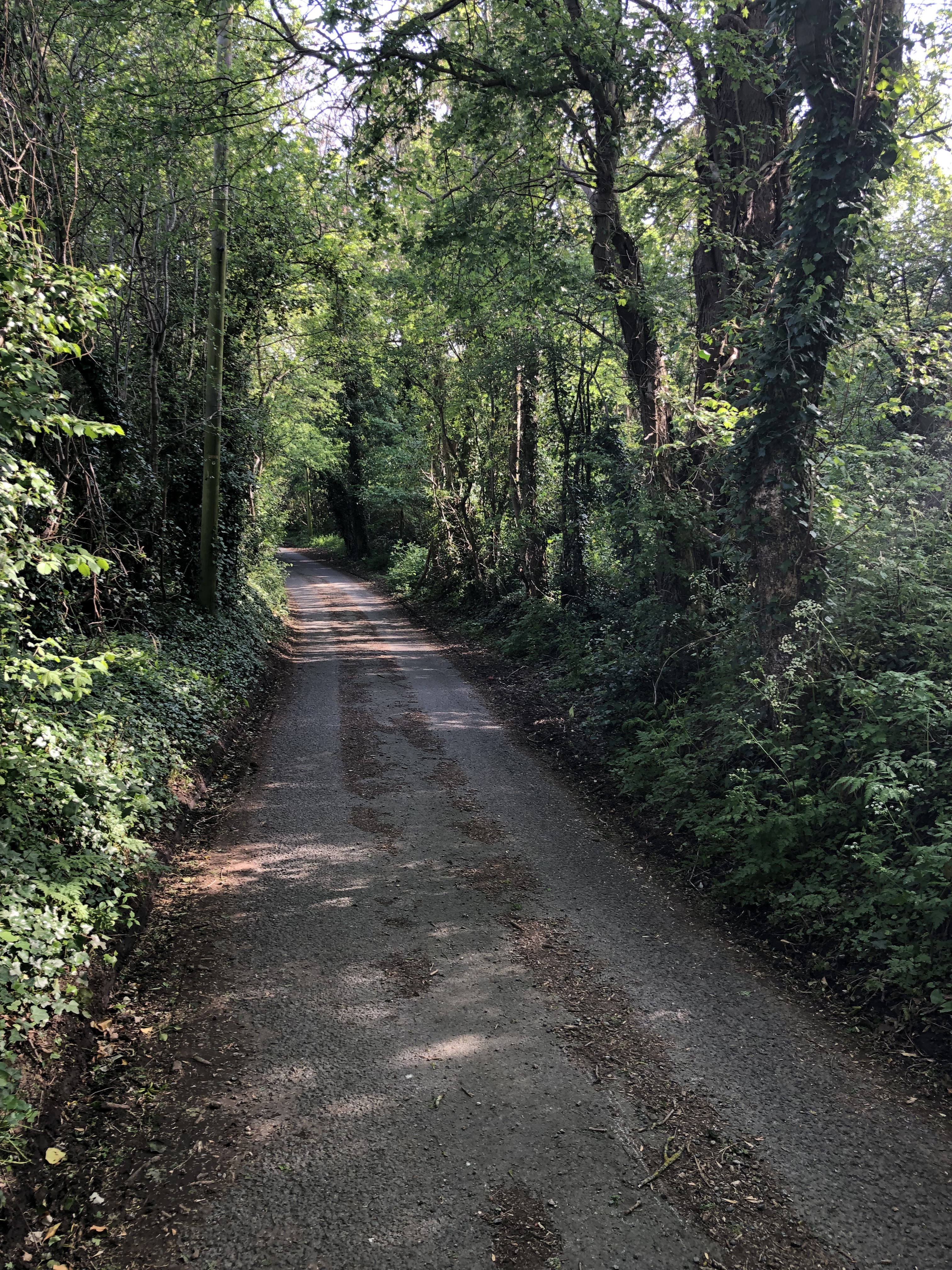 A woodland walk from Coopers Hill Nature Reserve to Great Witcombe Roman Villa