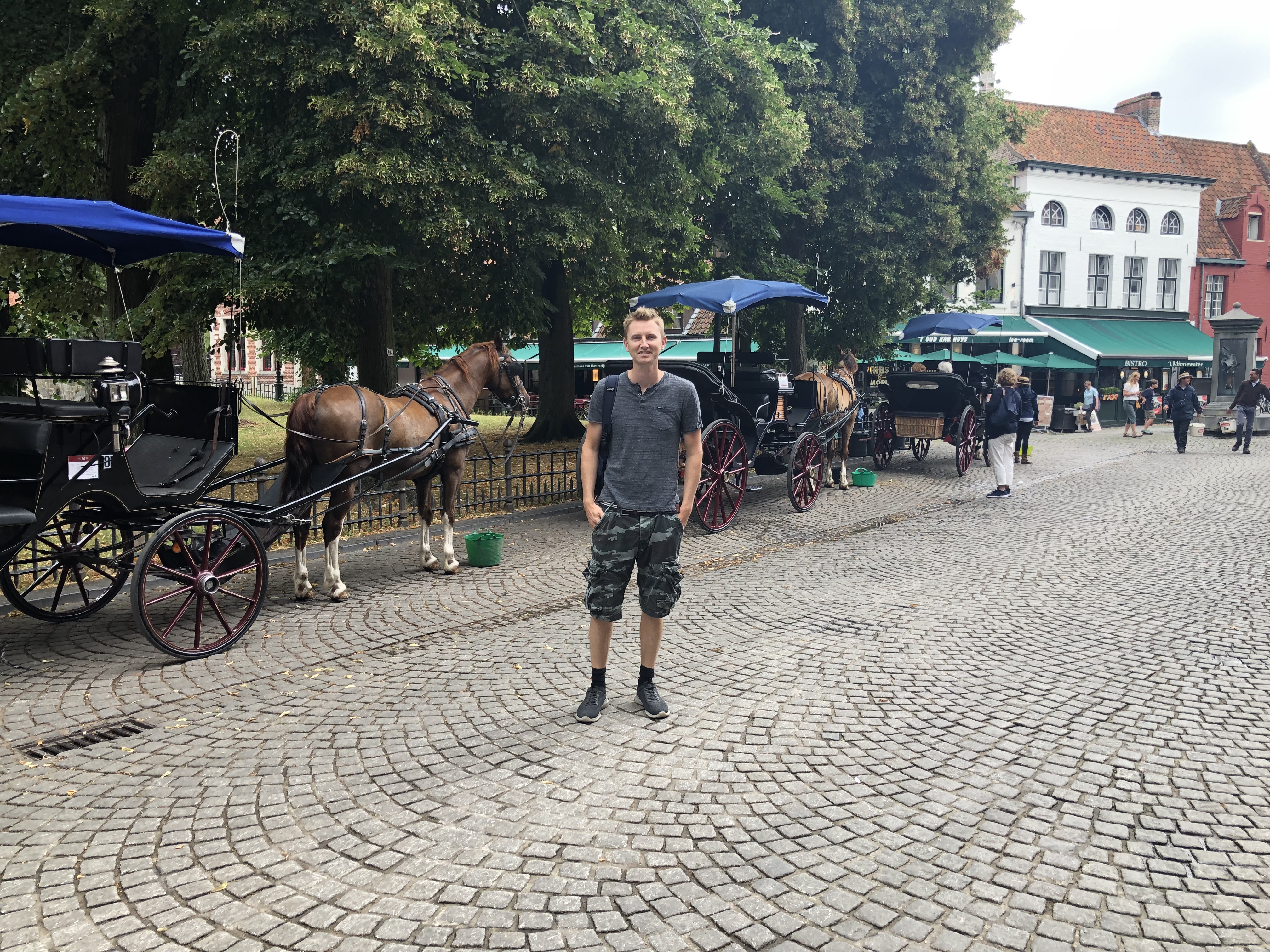 Horse and cart - A day in Bruges with kids on our Europe road trip