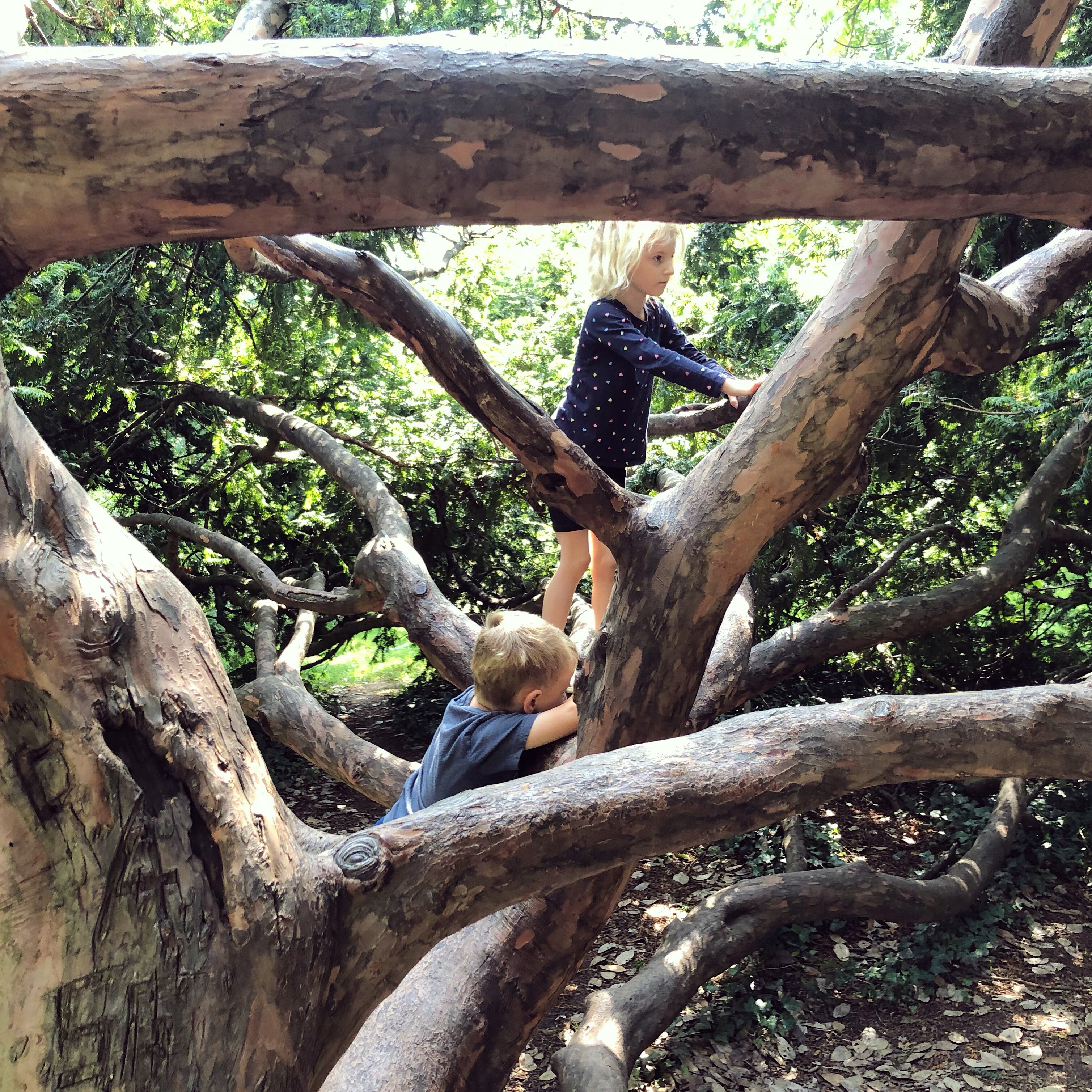 Pittville Park, Cheltenham: free things to do with kids in Gloucestershire