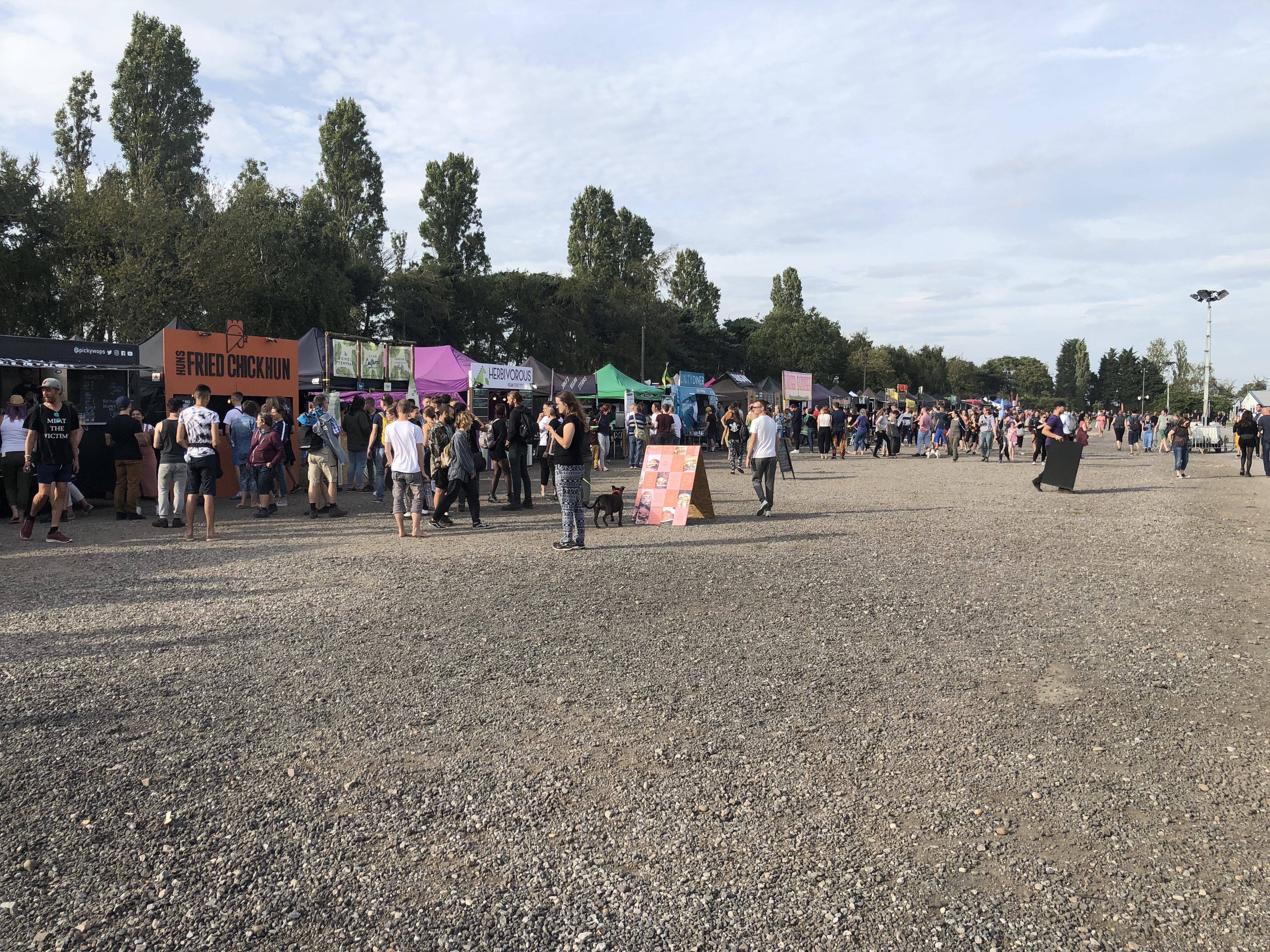UK Vegan Campout 2019 review