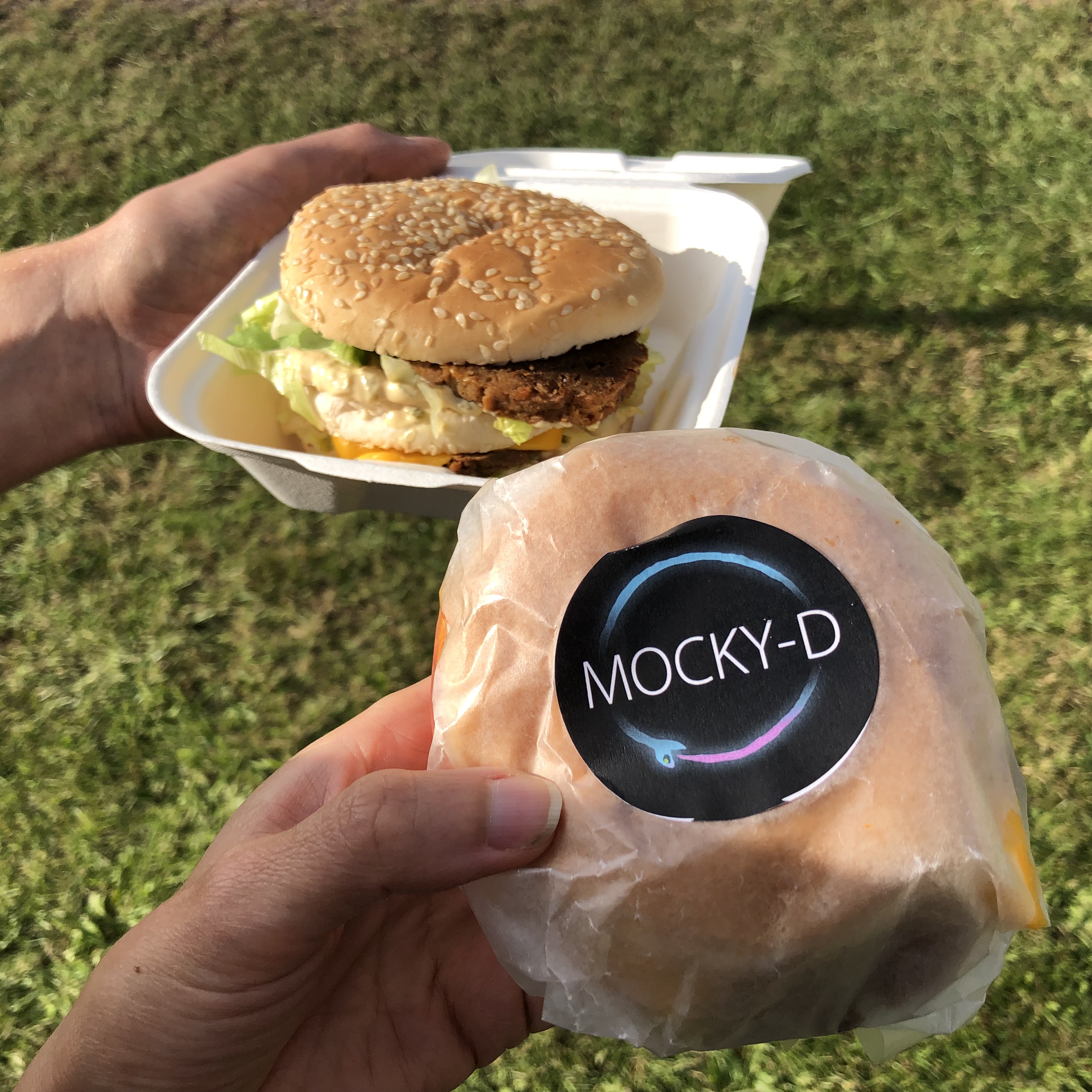 UK Vegan Campout 2019 review