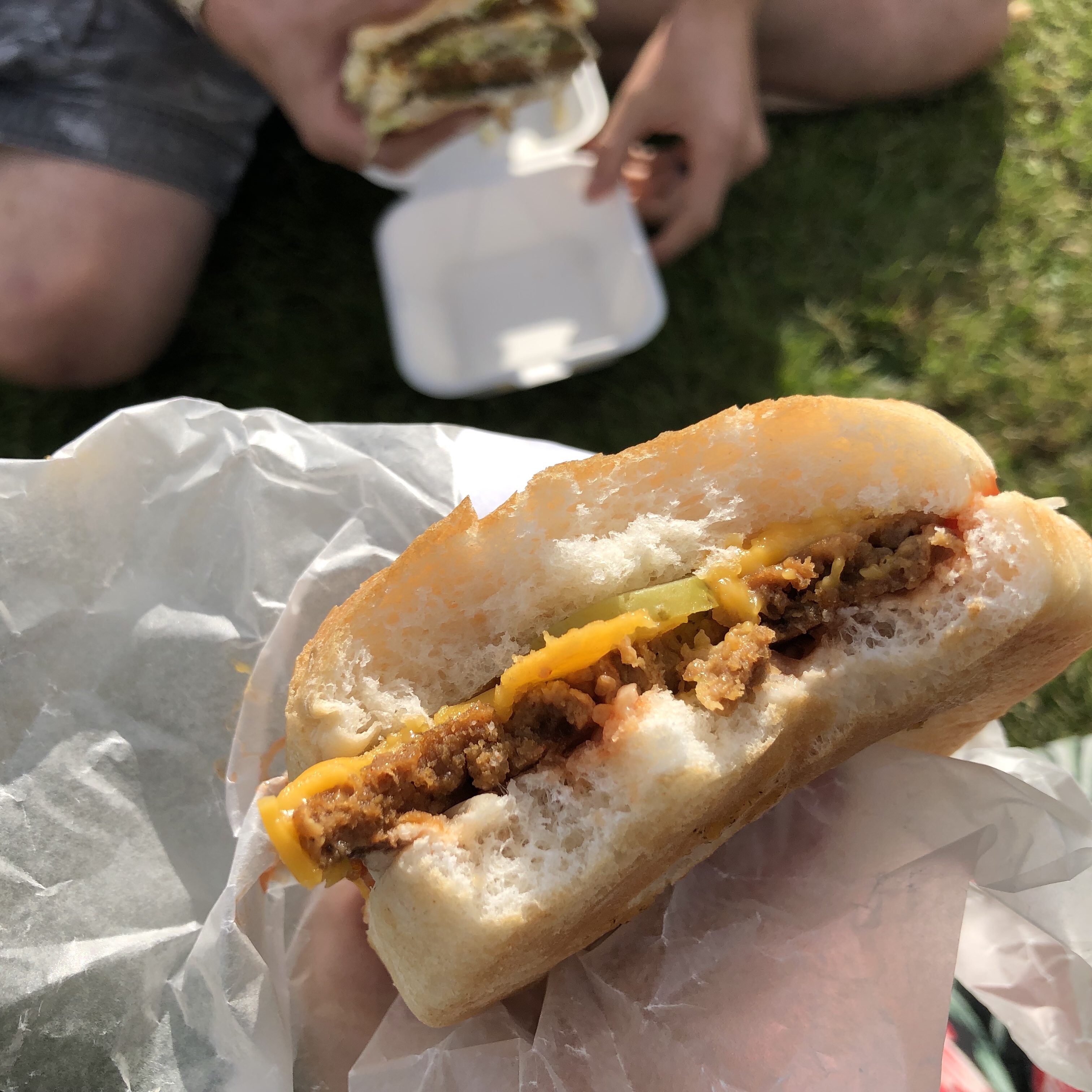 UK Vegan Campout 2019 review