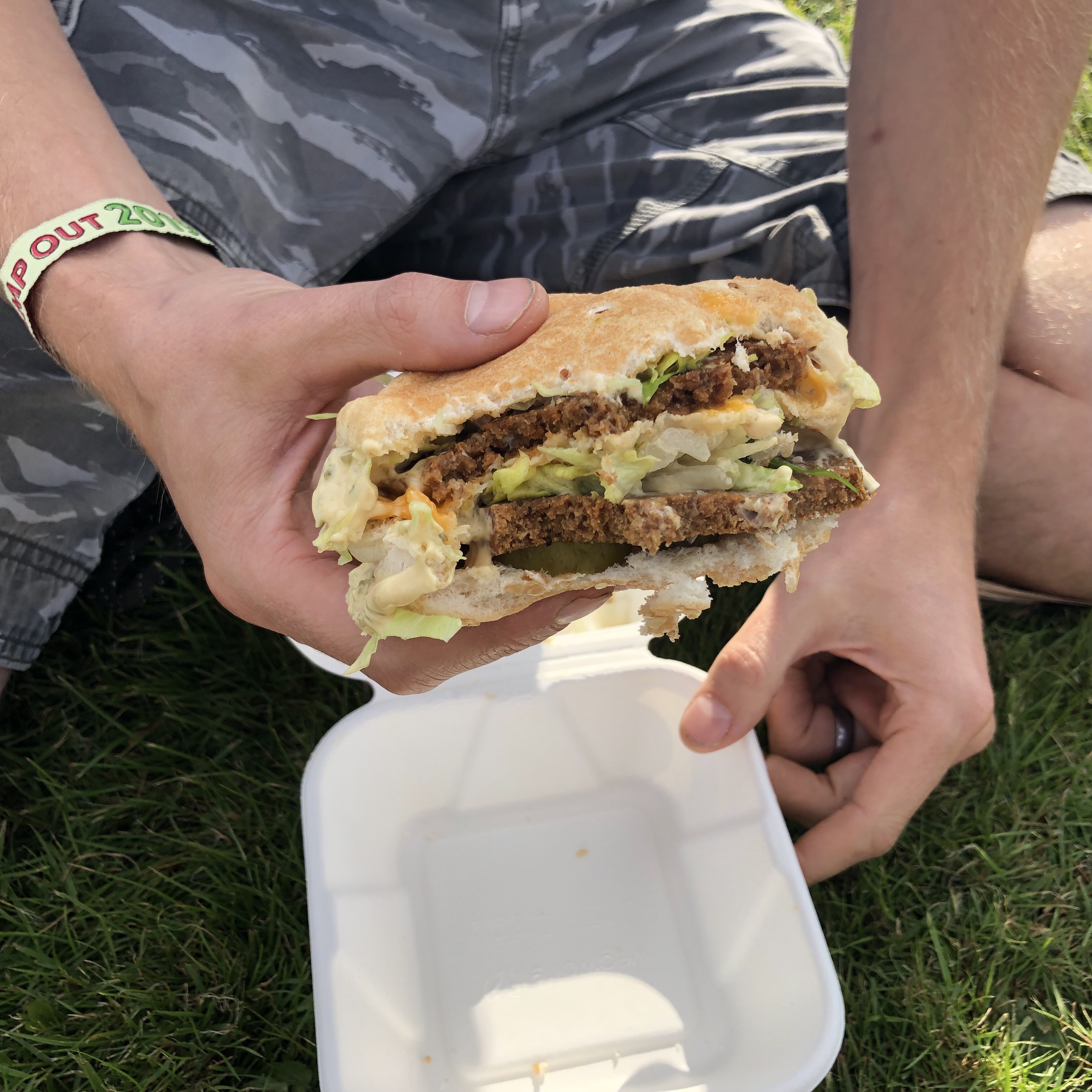 UK Vegan Campout 2019 review