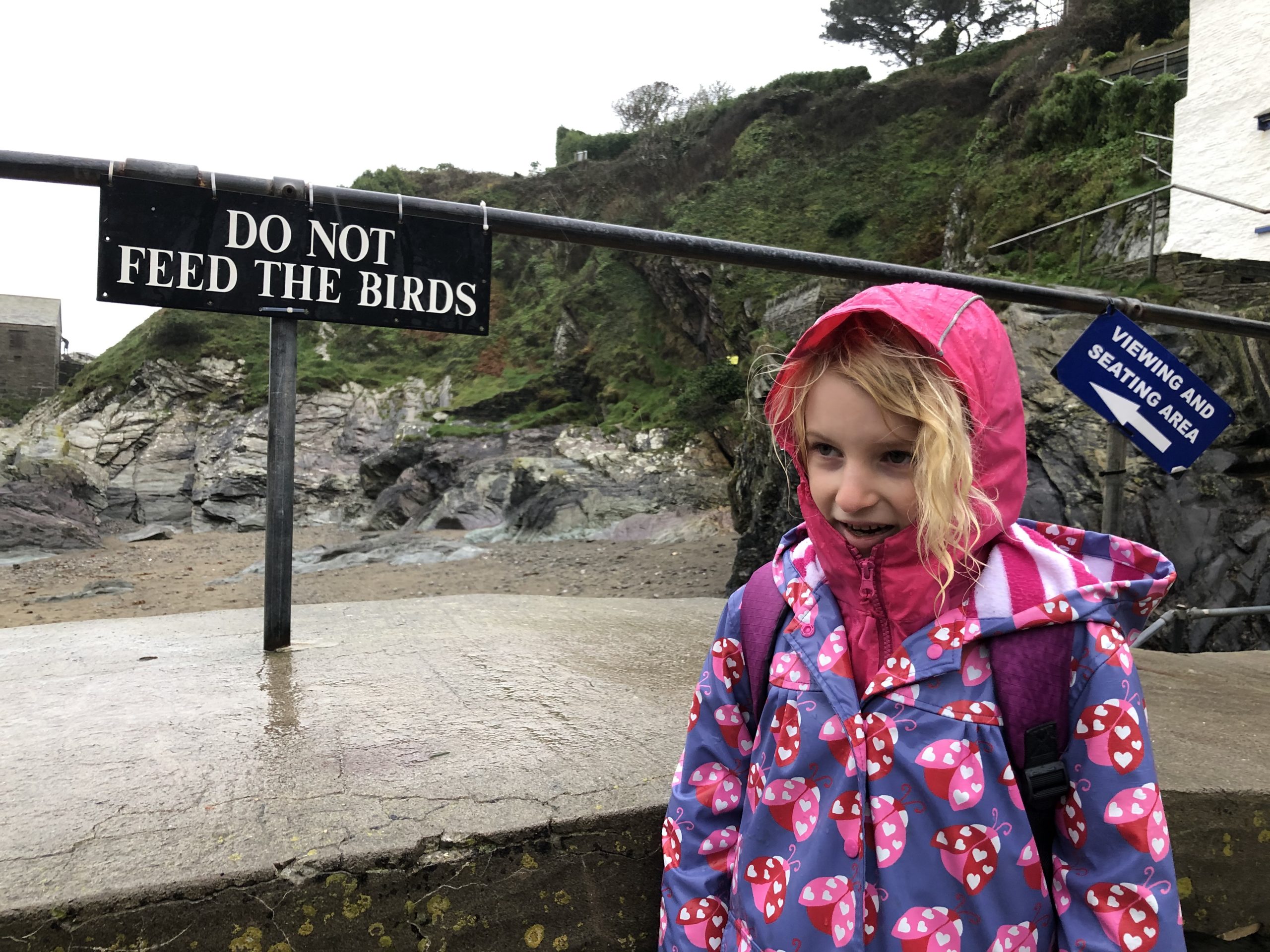 Cornwall with kids: Polperro