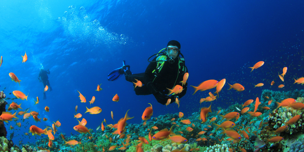Snorkelling & scuba diving - the difference between the two