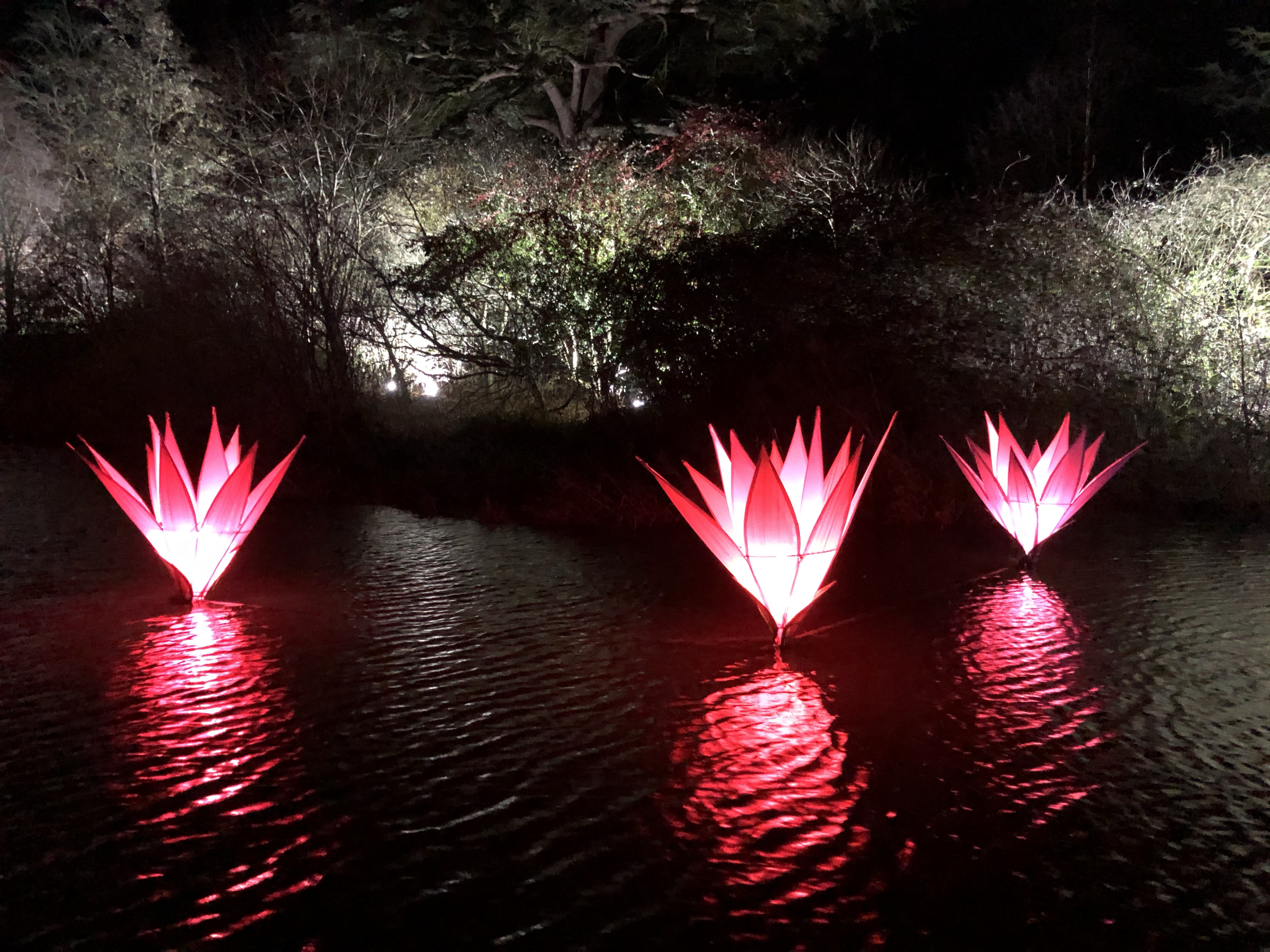 Sudeley Castle Spectacle of Light review + photos