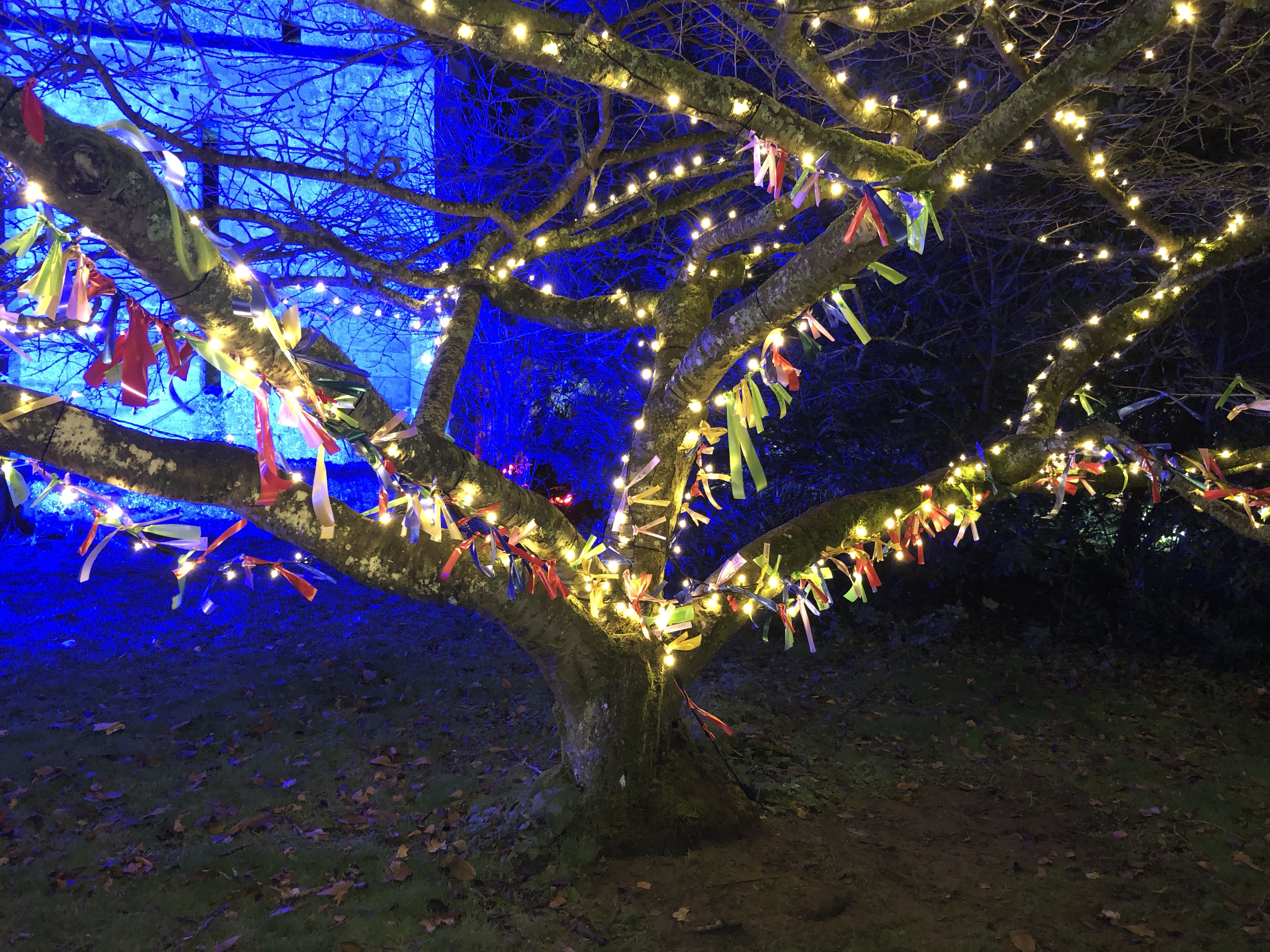Sudeley Castle Spectacle of Light review + photos