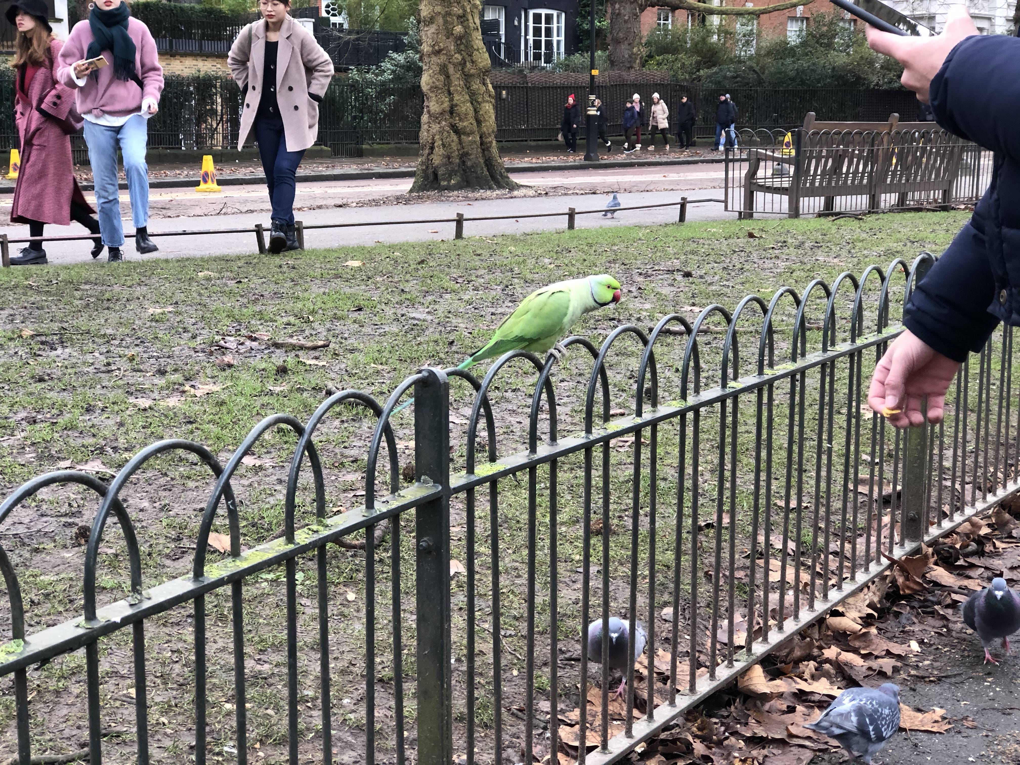 Our 3 day London family itinerary + travel diary