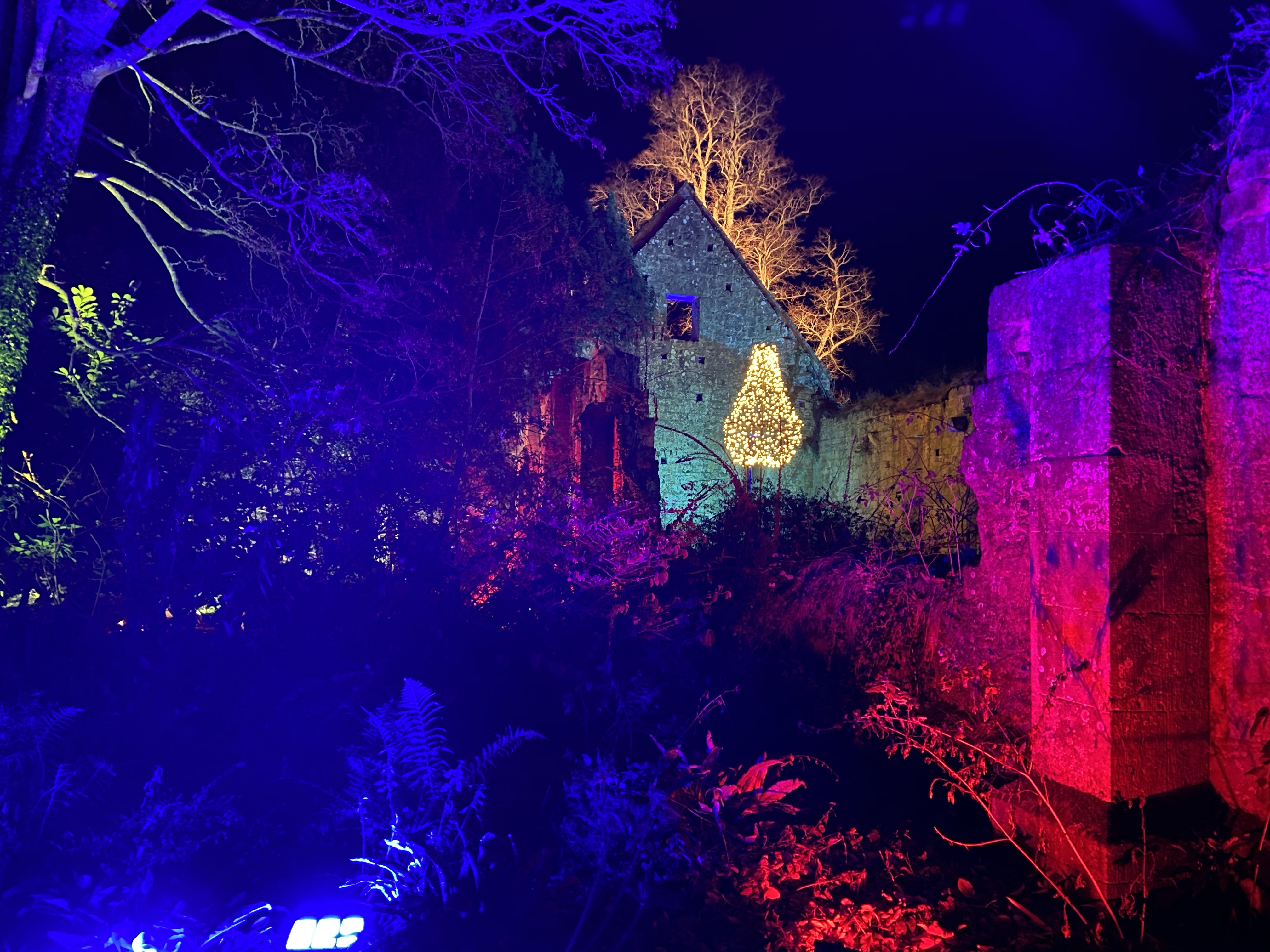 Sudeley Castle Spectacle of Light review + photos