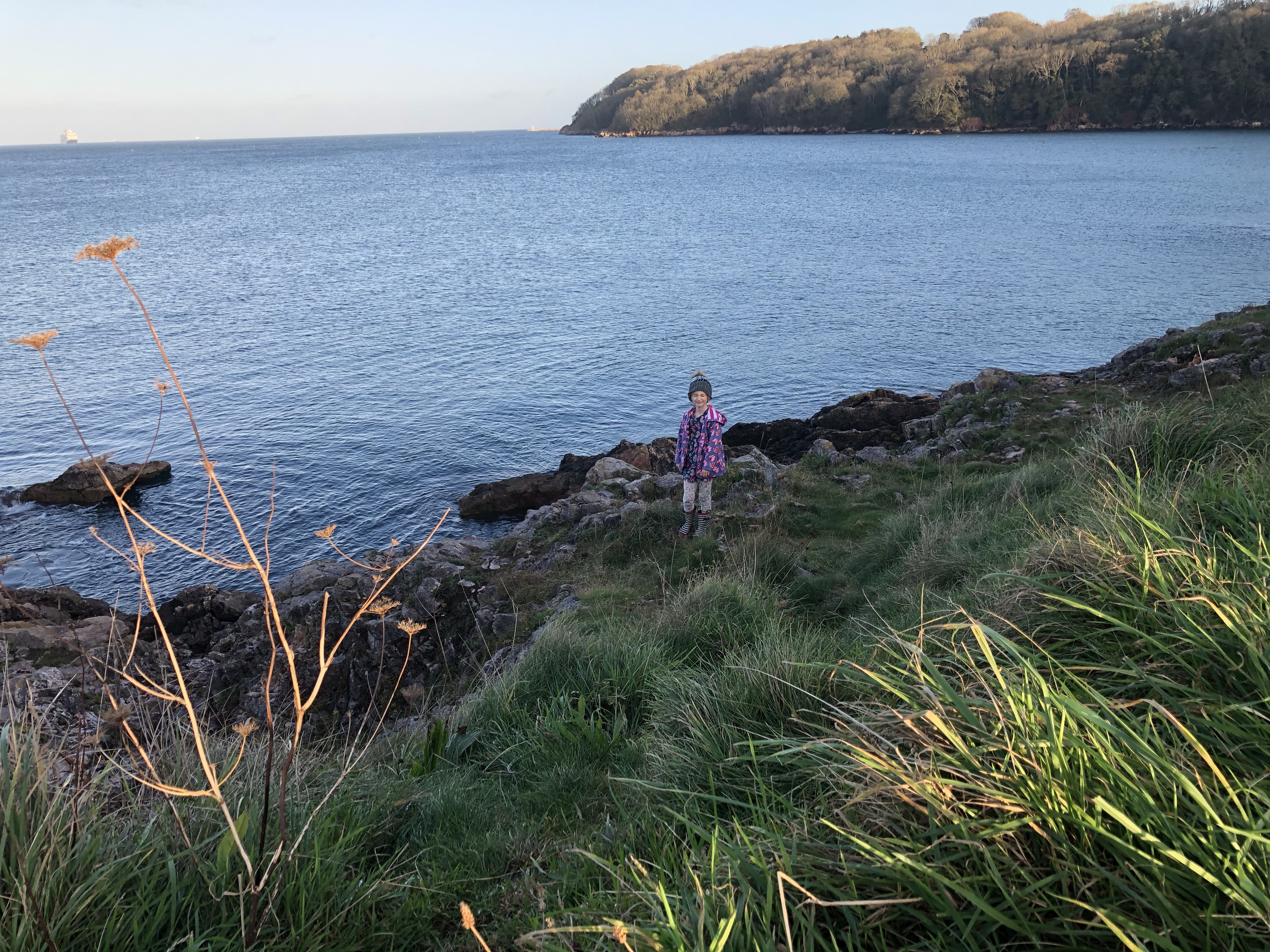 Elberry cove devon