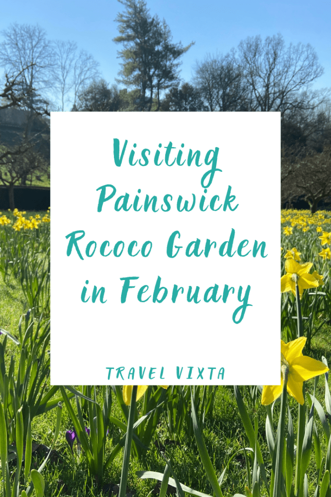 Painswick Rococo Garden February Snowdrops Daffodils 