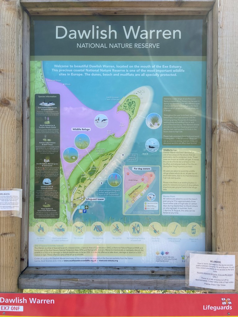 Dawlish Warren national Nature Reserve and spit beach