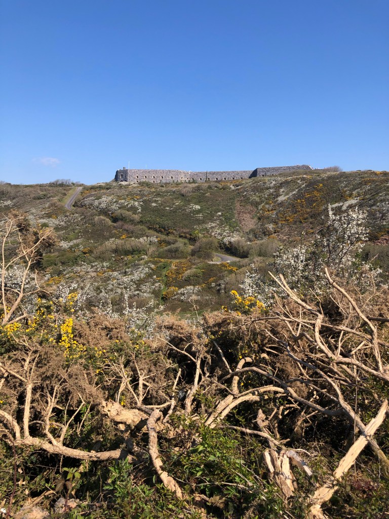 fort whitsand bay