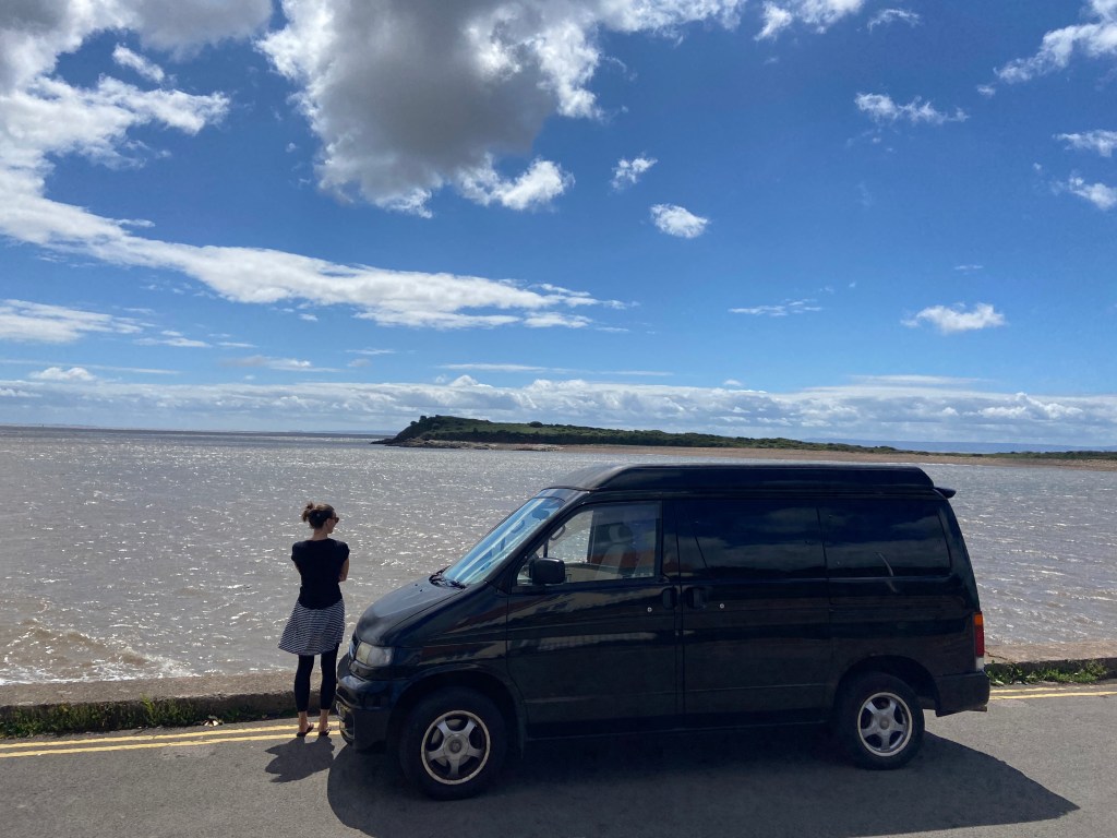Bongo at Sully Island