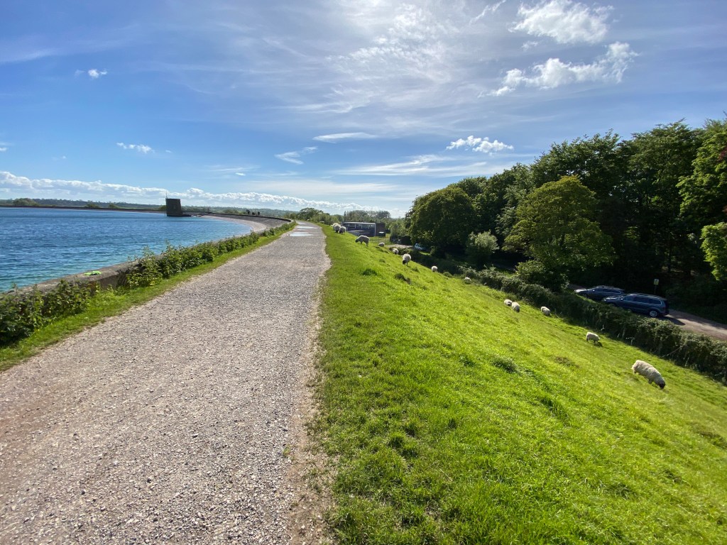 Cheddar Reservoir