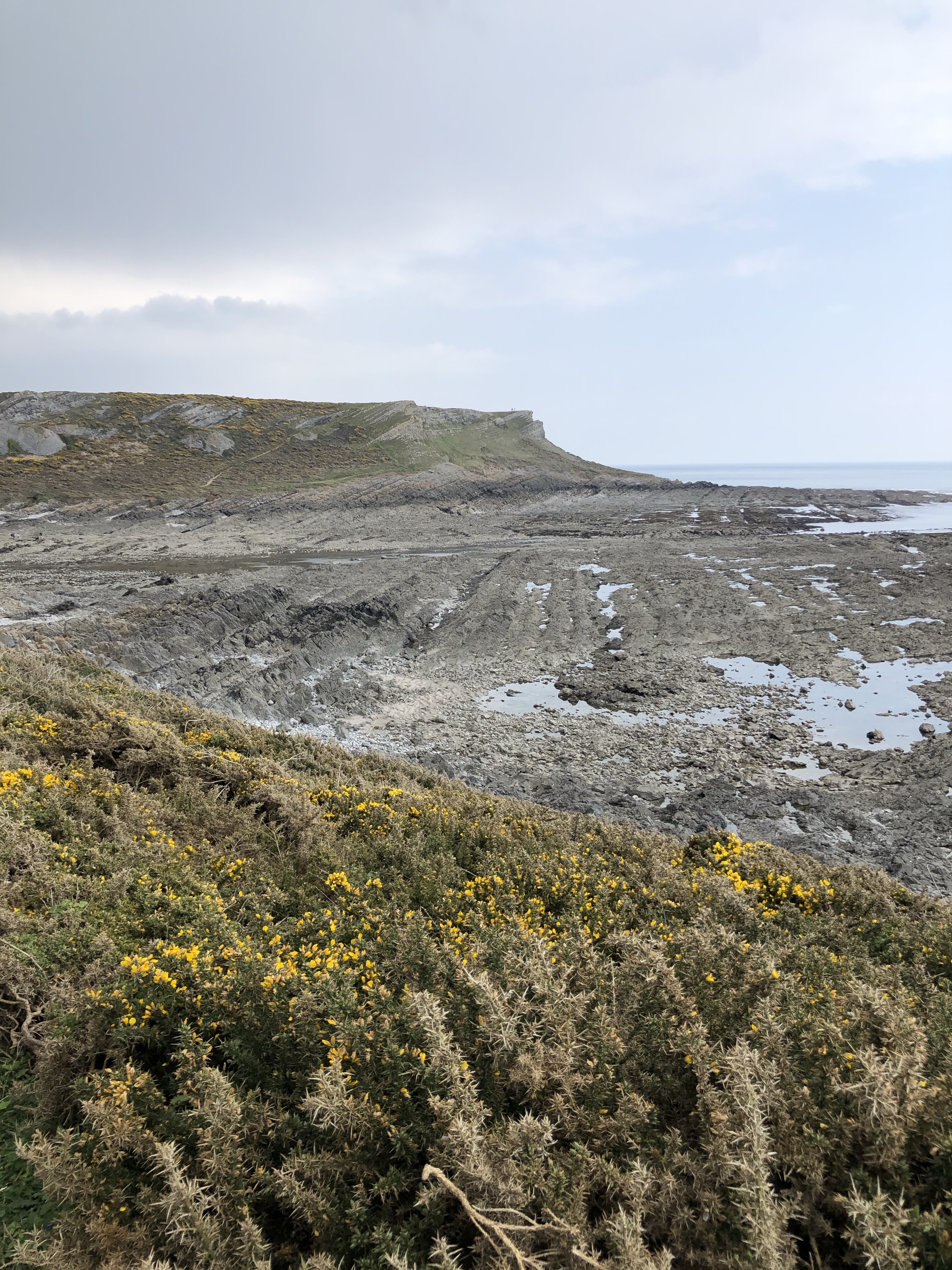 Port eynon gower