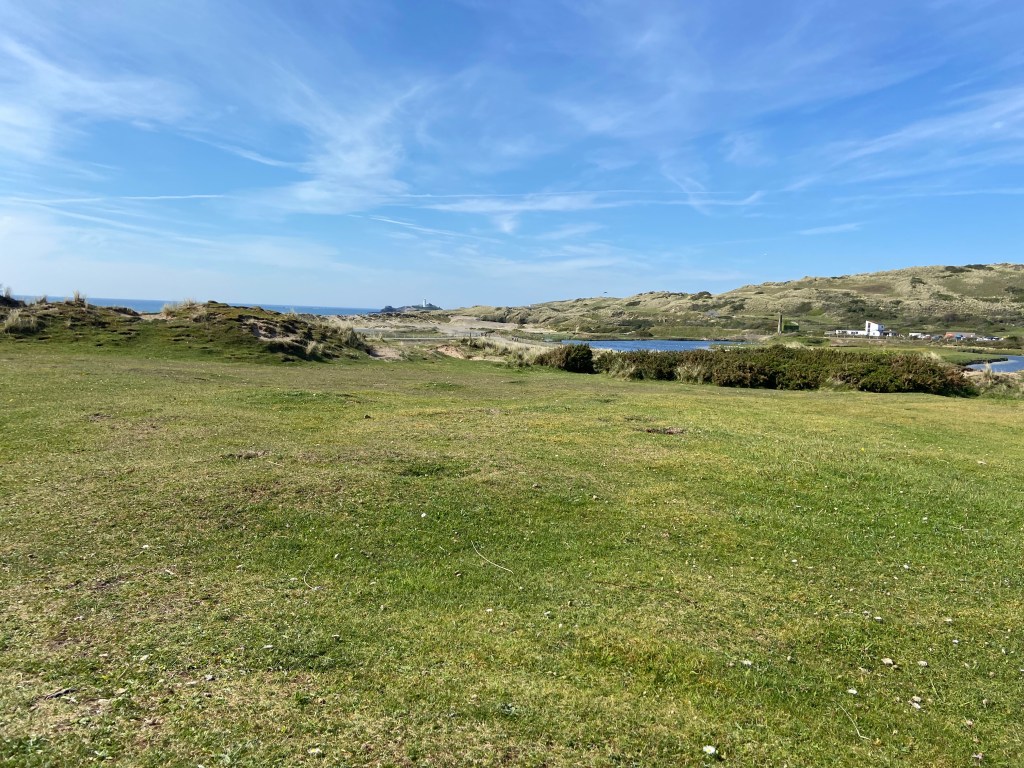 nature reserve at The Towans beach in Cornwall