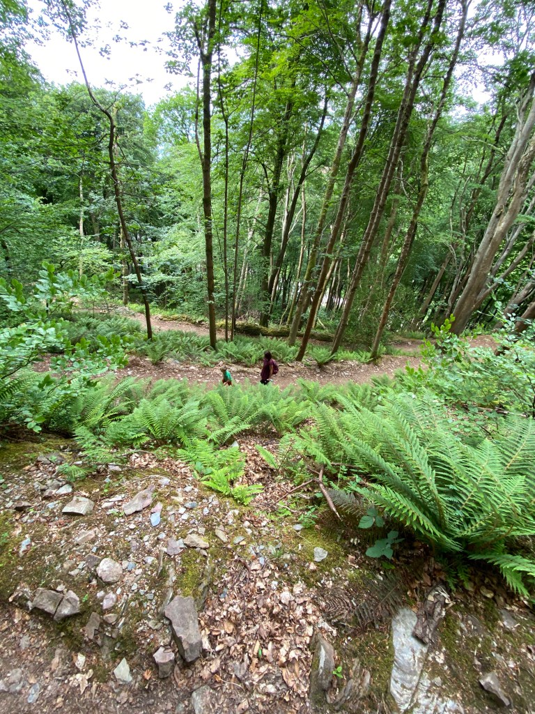 Lynmouth Lynton Exmoor National Park Devon