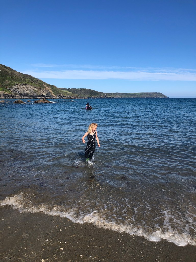 horse swimming West Portholland, Cornwall