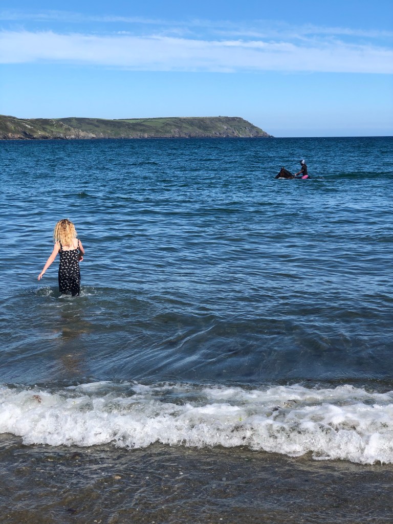 horse in sea West Portholland, Cornwall