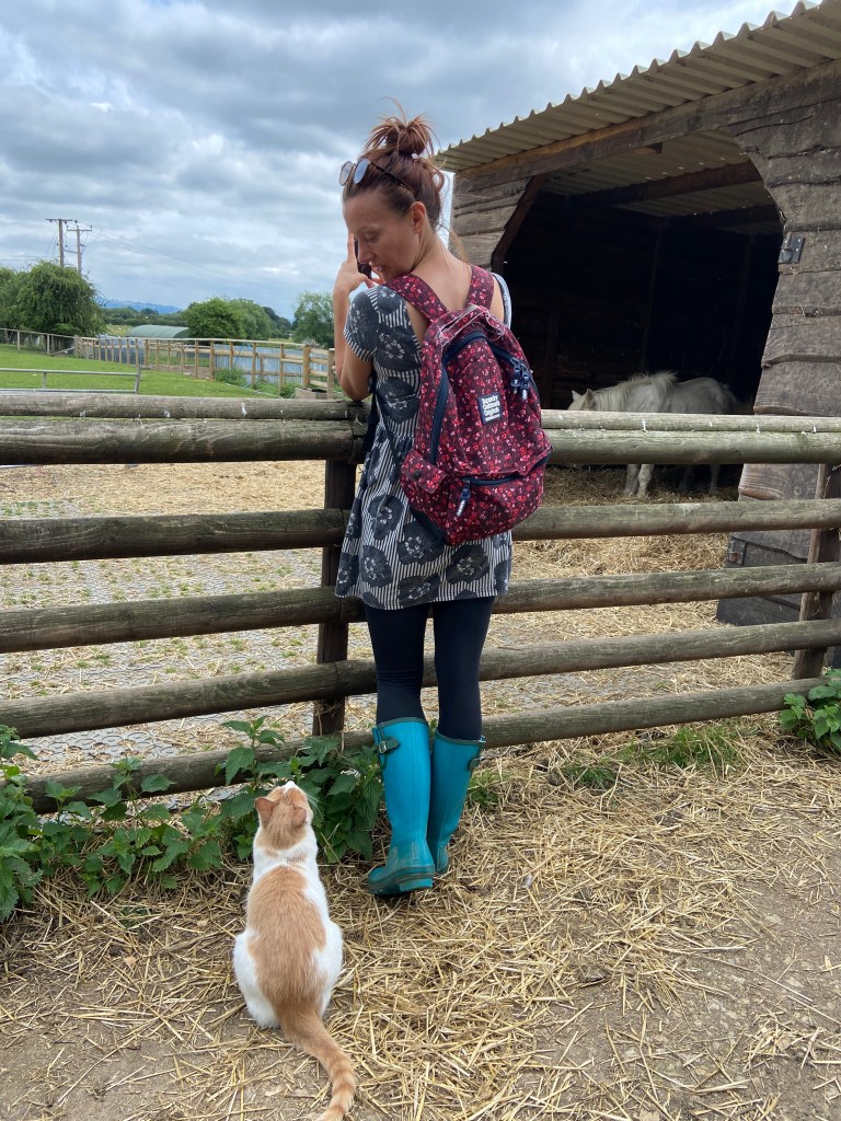 the farm animal sanctuary evesham