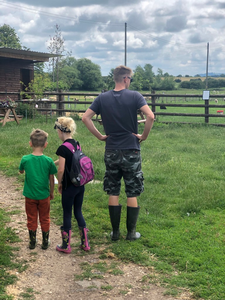 the farm animal sanctuary evesham