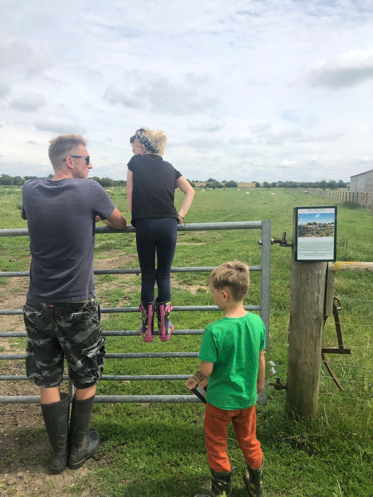 the farm animal sanctuary evesham