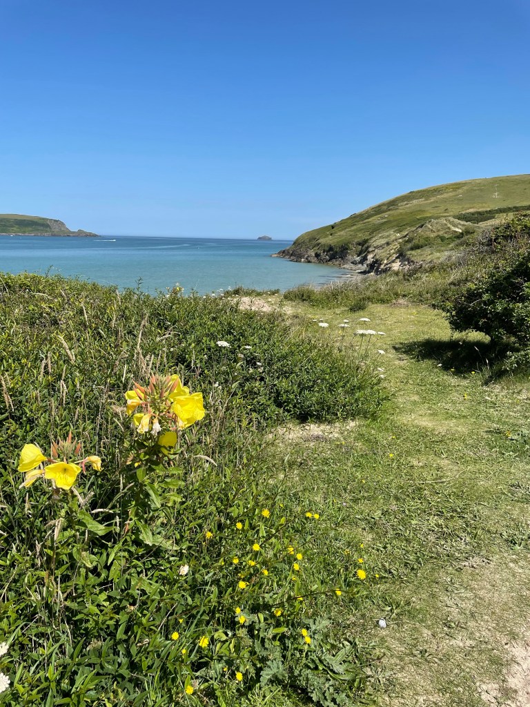 Daymer Beach to Brea Beach coastal path walk Cornwall stunning views