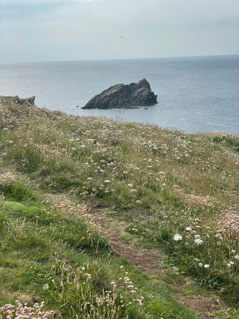 pentire headland cornwall