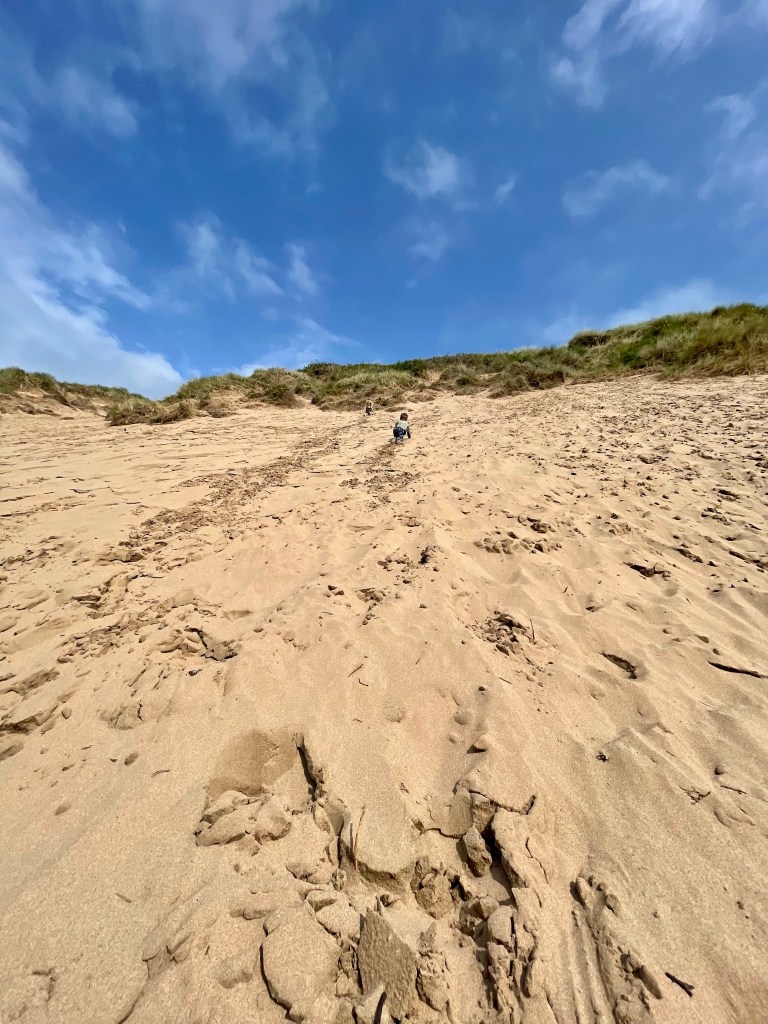 sand dunes woolacombe beach