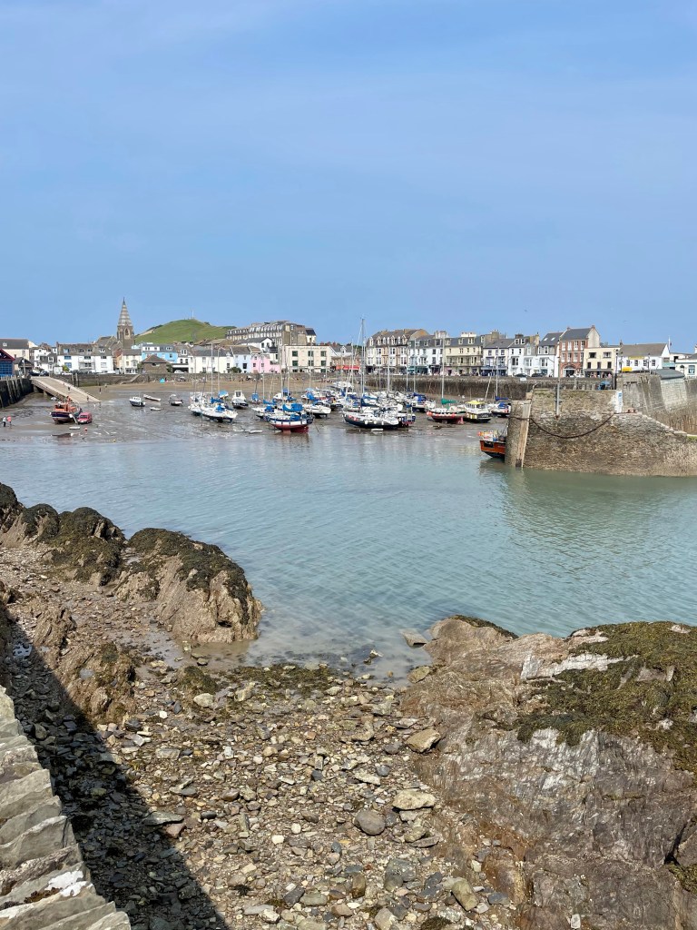 ilfracombe harbour