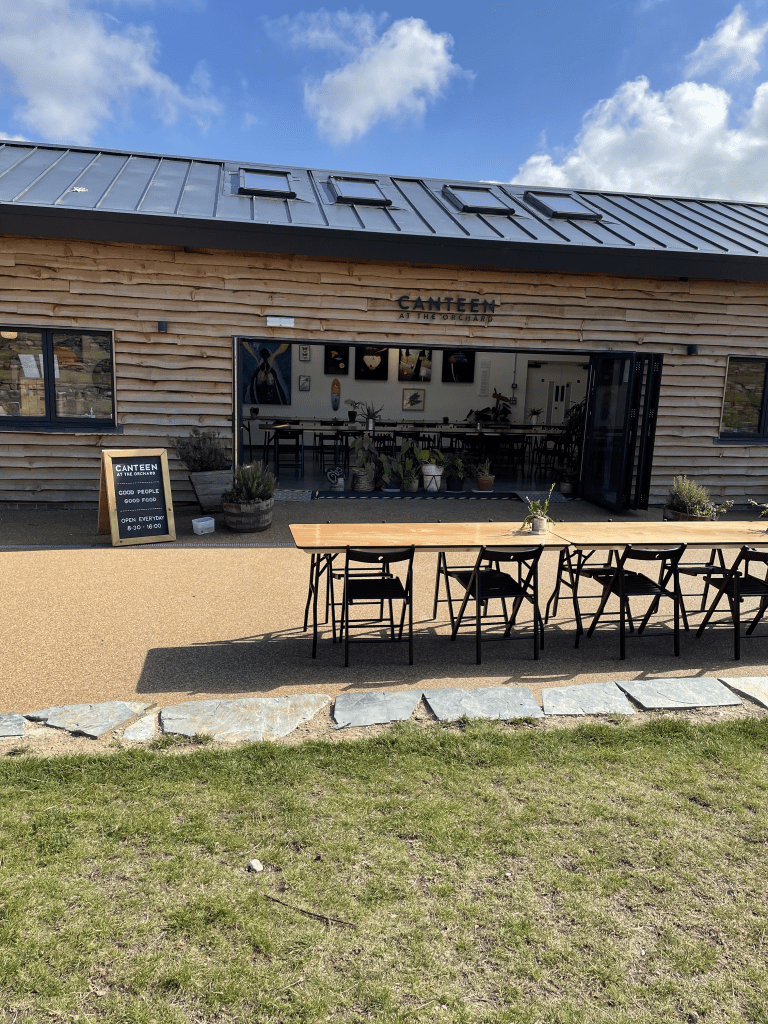 canteen at the orchard newquay vegan friendly food