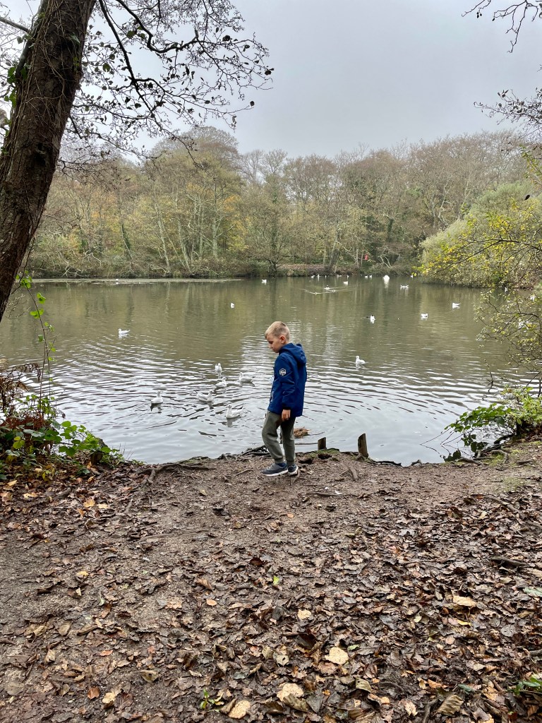 tehidy country park cornwall with kids