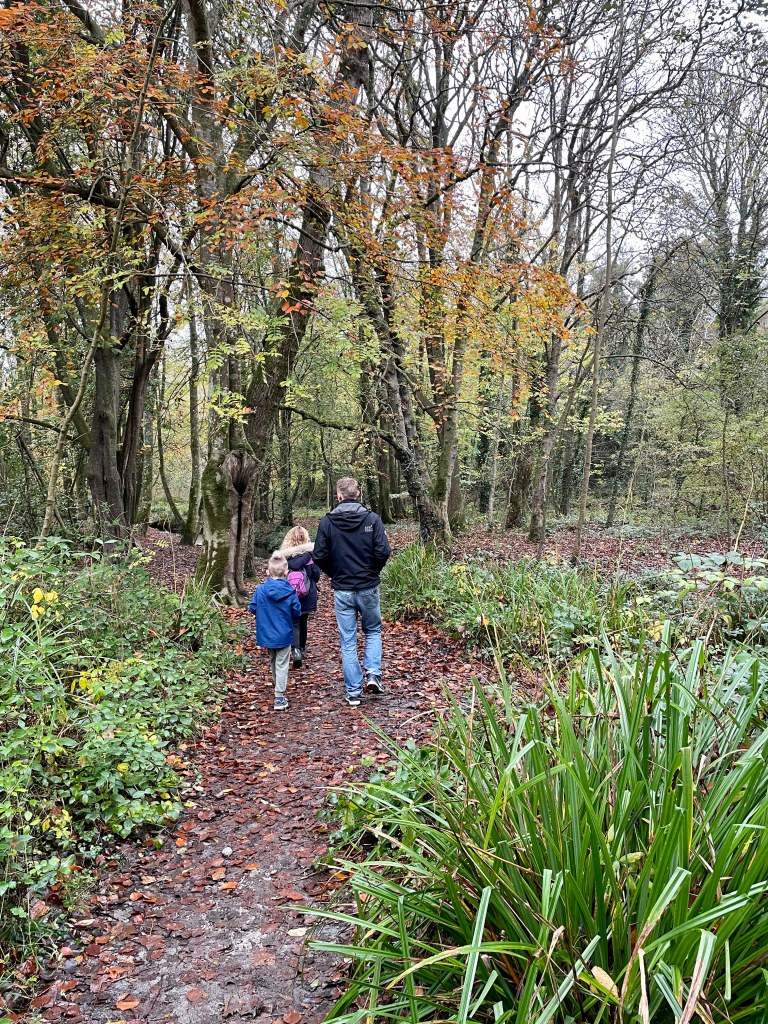 tehidy country park cornwall with kids
