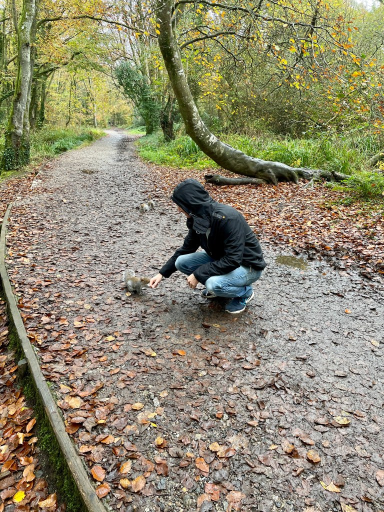 tehidy country park cornwall with kids
