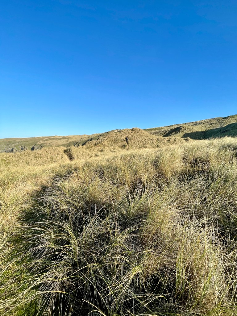 sand dunes perranporth 