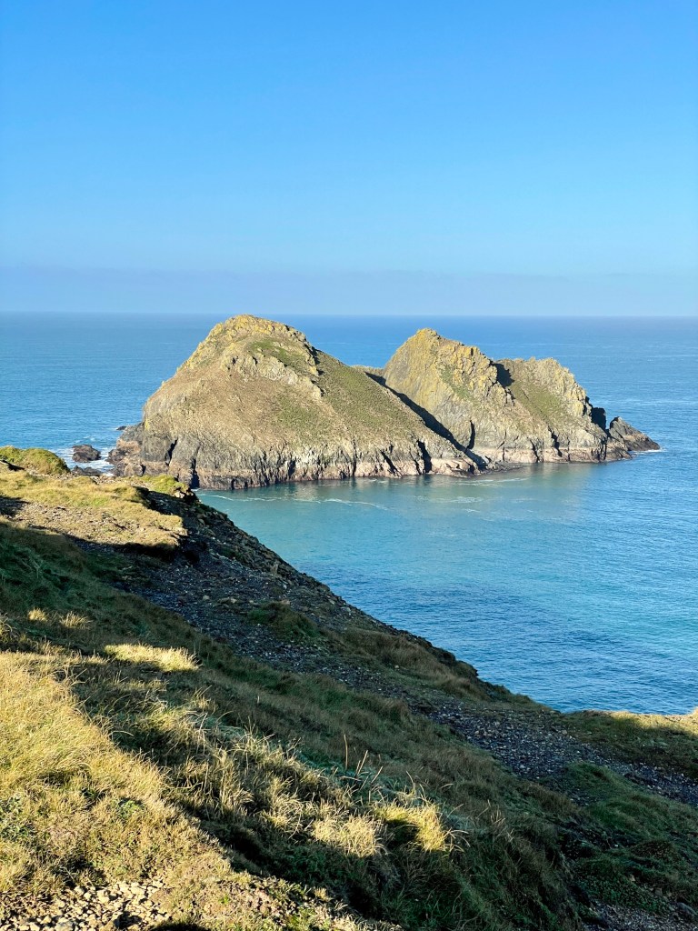 Gull Rocks Holywell Cornwall