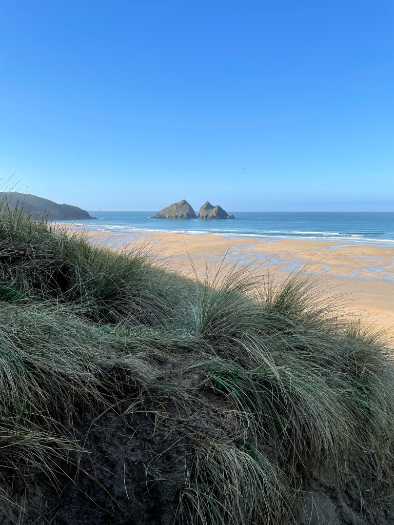 Gull Rocks Holywell Bay