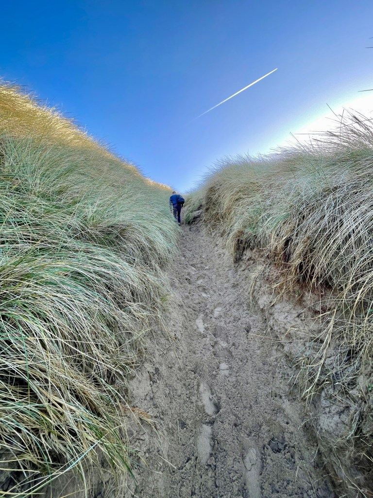 Sand dunes Holywell Bay Man Climbing