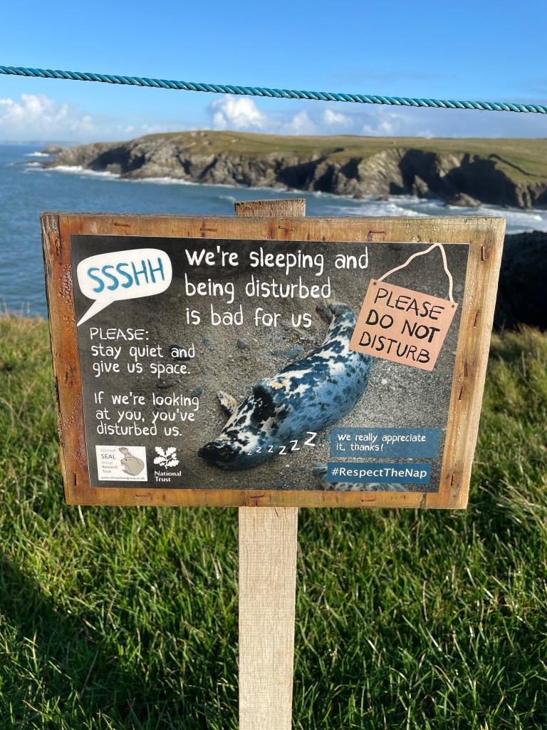seals cornwall