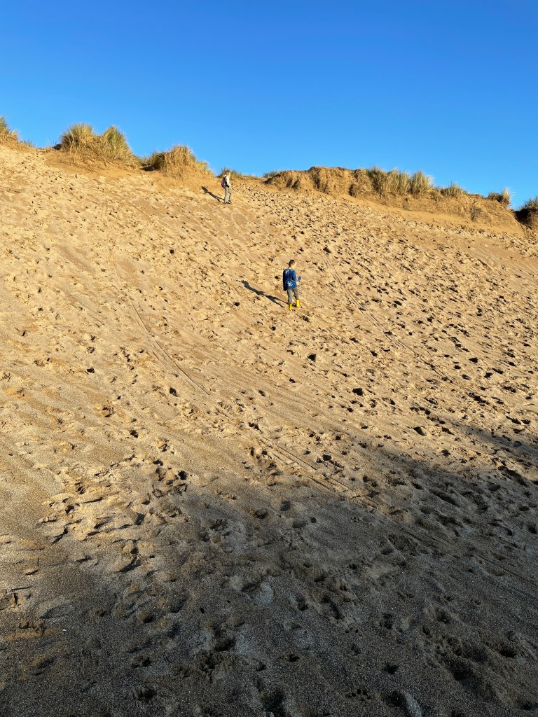 Holywell Bay sand dunes