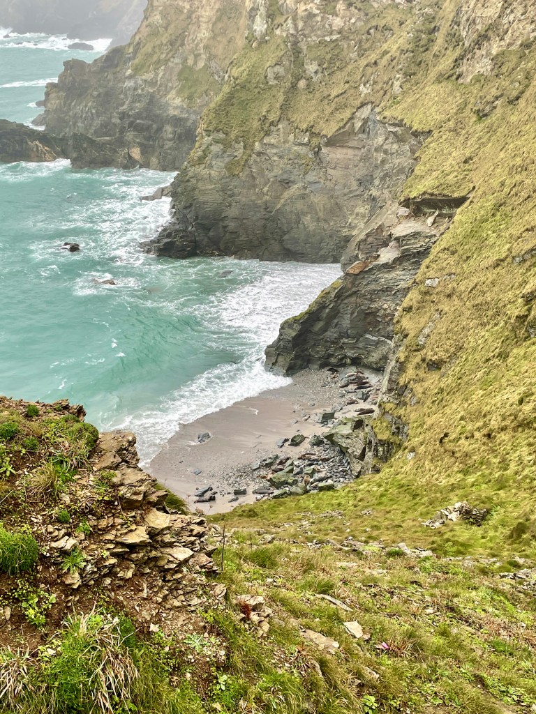 seal spotting mutton cove december high tide