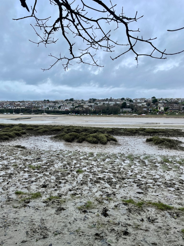 Gannel river low tide boats in distance