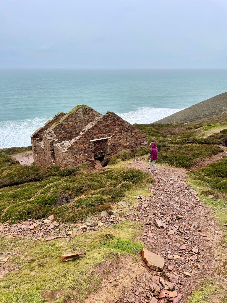 wheal coates