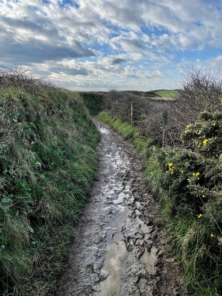 Muddy tracks to The Rumps Cornwall 