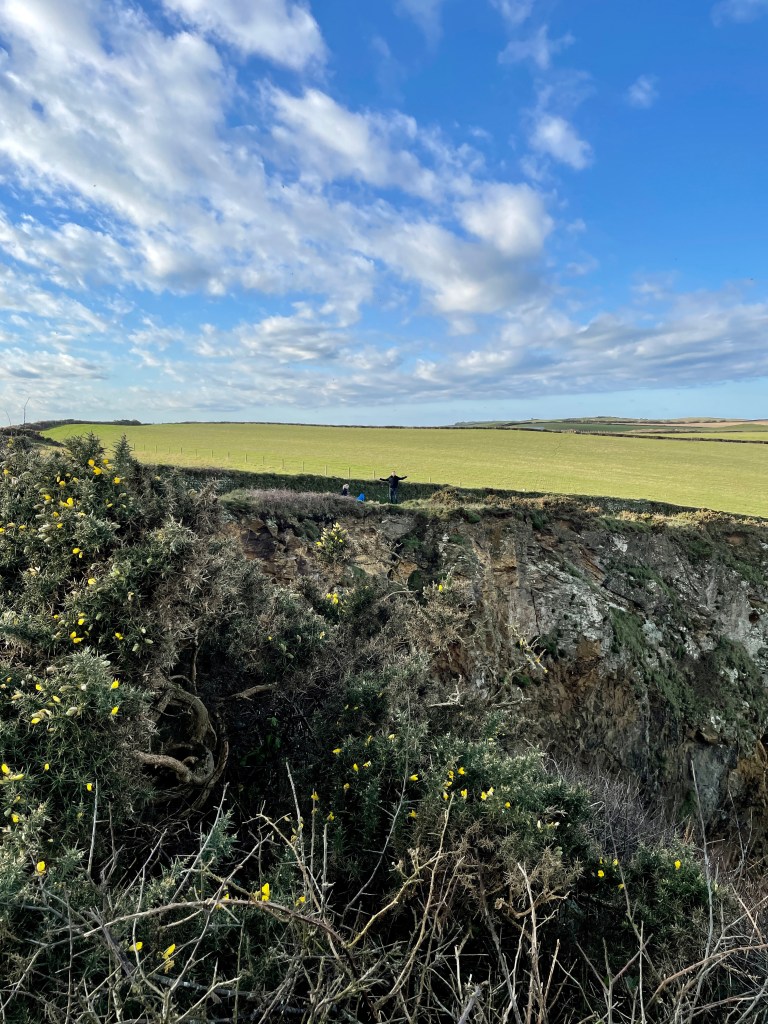 Pentire Headland Wadebridge 